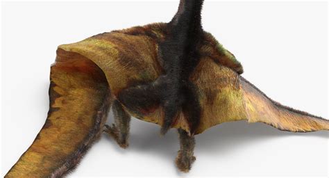 Pteranodon Flying Carnivorous Reptile Standing Pose With Fur D Model