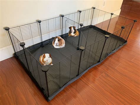 Big Guinea Pig Cages