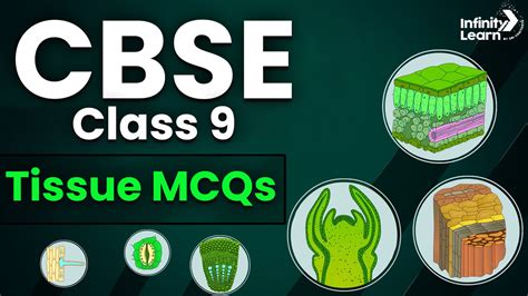 Cbse Science Chapter Tissue Class Mcqs With Solutions