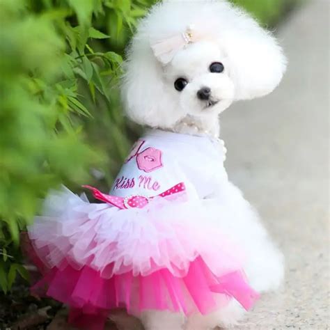 Small Medium Pet Dog Clothes Dress Sweety Princess Dress Dogs Pet