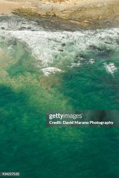 Laguna Bay Photos And Premium High Res Pictures Getty Images