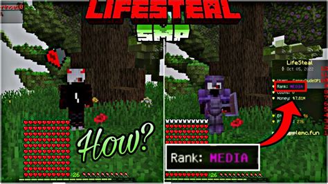 How I Got Media Rank In This Deadliest Lifesteal Smp Apple Mc