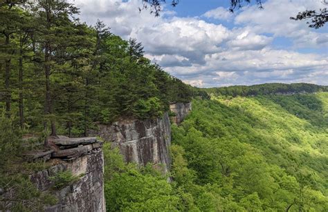 10 Best hikes and trails in Blackwater Falls State Park | AllTrails