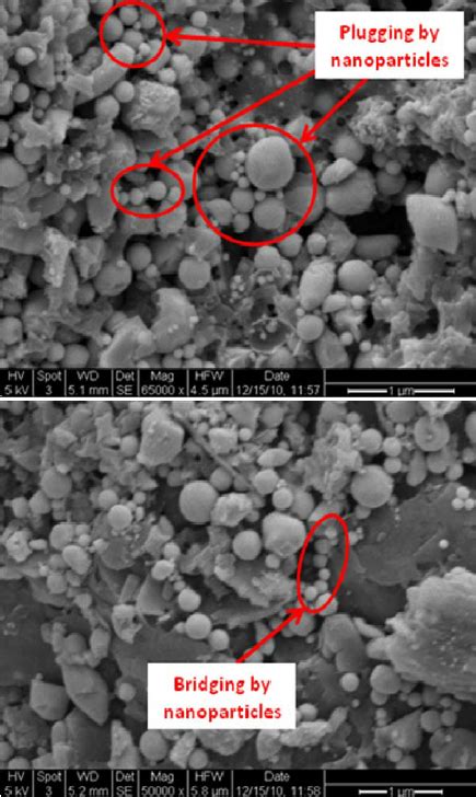 Sem Images From Within The Pore Spaces Of The Berea Sandstone They