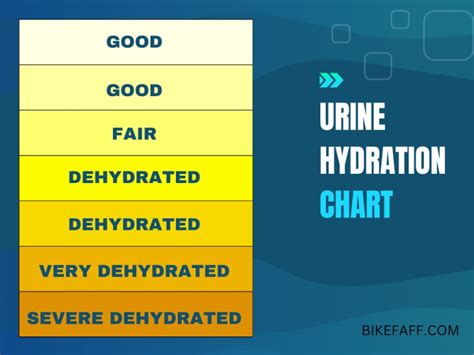 Bike Calorie And Hydration Calculator Bike Faff