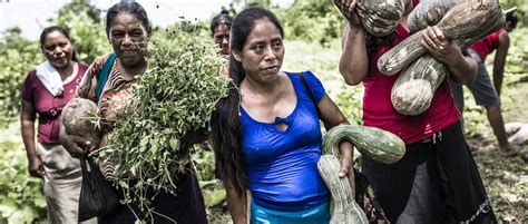 Las mujeres en primera línea en la lucha por tierra y territorio We