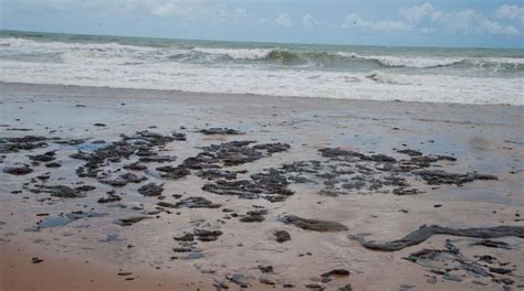 Nada Sobre Culpados Por Vazamento De Leo Nas Praias Do Nordeste E