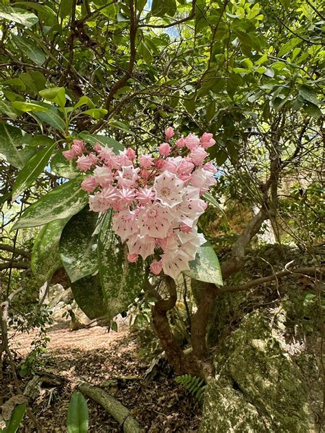 1180 peachtree building tenants face massive rent hikes this year 13