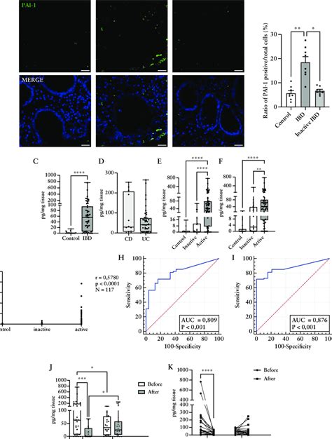 The Concentration Of PAI 1 In The Colonic Mucosa A Localisation Of