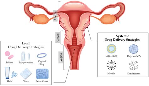 Materials Free Full Text Recent Advances In The Excipients Used In