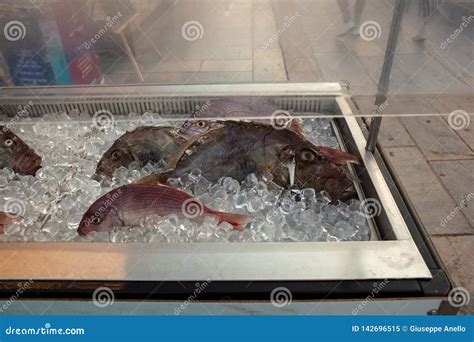 Mariscos En El Hielo En El Mercado De Pescados Imagen De Archivo