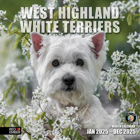 Amazon Red Ember West Highland White Terriers Hangable