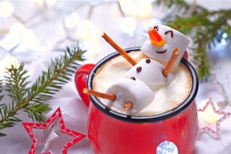 Marshmallow Hot Cocoa Snowman Practical Frugality