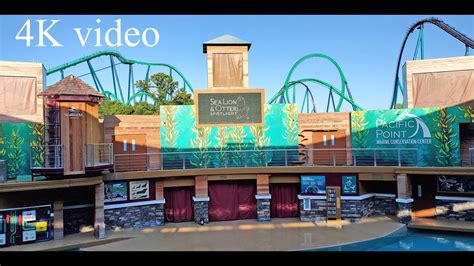 Seaworld Orlando Sea Lion And Otter Spotlight April 2022 Youtube