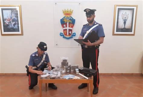 BOLOGNA Blitz Antidroga Dei Carabinieri Arrestati Madre E Figlio