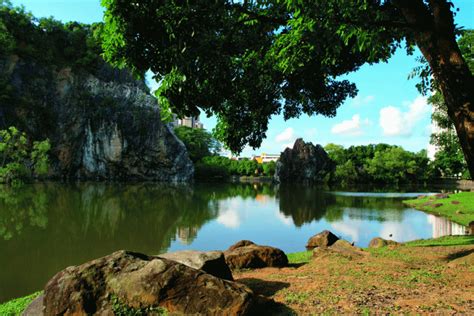 Bukit Batok Nature Park Tranquil Beauty In Singapore Visit Today