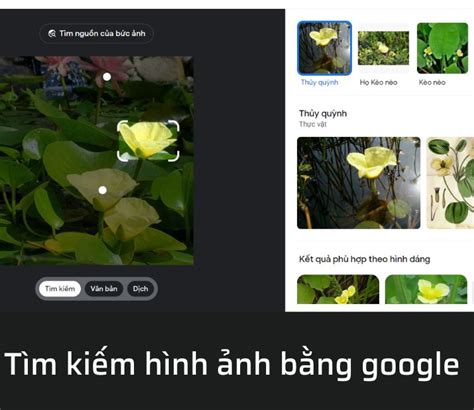 Tìm Kiếm Bằng Hình Ảnh Với Google thật dễ dàng và chính xác