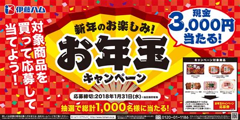 今年も現金3000円が抽選で1000名様に当たる「お年玉キャンペーン」を実施｜伊藤ハム米久hdのプレスリリース