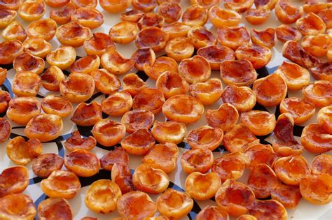 Premium Photo Drying Fruit Drying Apricots Drying Apricots In The Sun