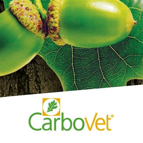 Flavor Enhancer Feed Additive Carbovet® Pancosma Poultry For