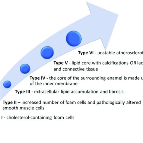 Atherosclerotic Lesions Histopathological Classification Role Of