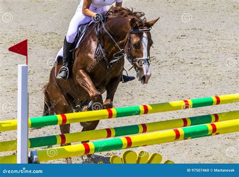 Chesnut Dressage Horse and Girl in White Uniform Performing Jump at ...