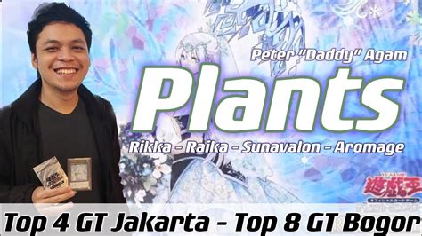 TOPPING TERUS PLANTS Rikka Raika Sunavalon Aromage Deck Profile