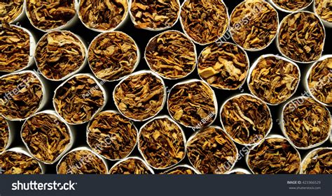 Heap Tobacco Cigarettes Stack Background Texture库存照片423366529