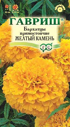 ЦВЕТЫ БАРХАТЦЫ ВЫСОКИЕ (ПРЯМОСТОЯЧИЕ)