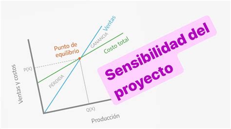 Análisis de Sensibilidad de Proyectos Guía Práctica Un Proyecto