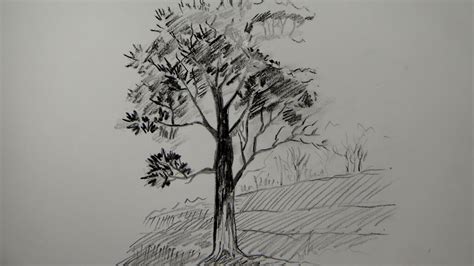 Pencil Drawing Simple Tree Bestpencildrawing