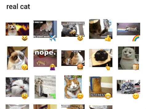 Real Cats Sticker Pack Telegram Stickers Library