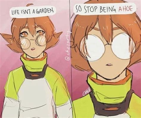 You Heard Pidge Rvoltron