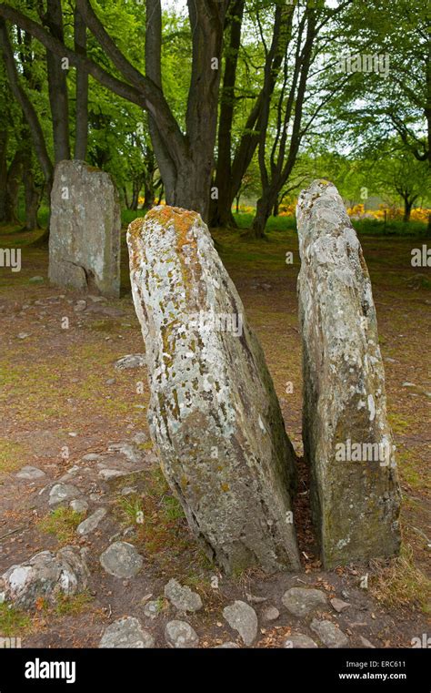 One Of Many Standing Stones At The Clava Cairns Neolithic Ancient