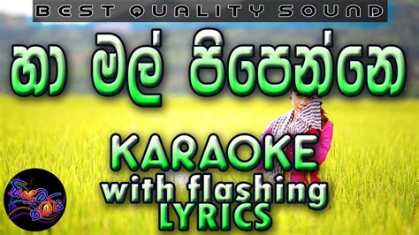 Ha Mal Pipenne Karaoke With Lyrics Without Voice Youtube