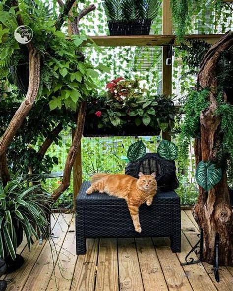 20 Safe And Cozy Diy Balcony Ideas For Cats Obsigen