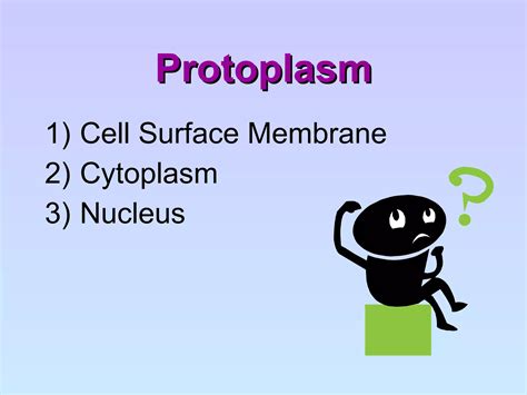 Cell Structure And Organisation Ppt