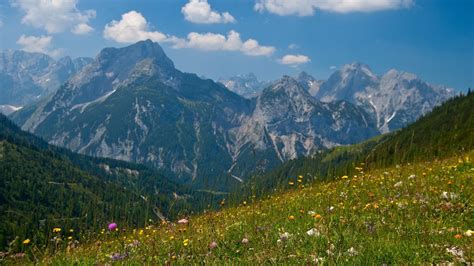 🔥 [40+] Spring in the Alps Wallpapers | WallpaperSafari