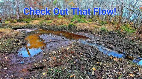 Beaver Dam Removal Tearing Out Beaver Dam Number Downstream View