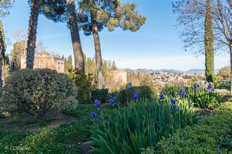 Iris Flowers Over Granada Walking Towards The Alhambra Pal Flickr