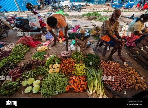 Fish market in Negombo, Sri Lanka. A section with fruits, vegetables ...