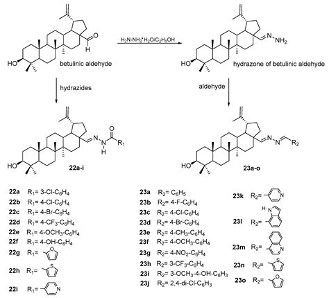 Pharmaceutics Free Full Text Synthesis Pharmacological Properties