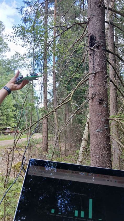 Christo van Zyl on LinkedIn: #startup #enose #ai #digitalforests # ...