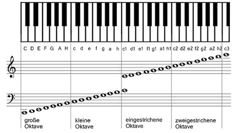 Wissen Noten Im Bassschl Ssel Endlich Noten Lesen Lernen