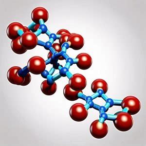 Nucleic Acid Monomer and Polymer: A Deep Insight into Their Structure and Function