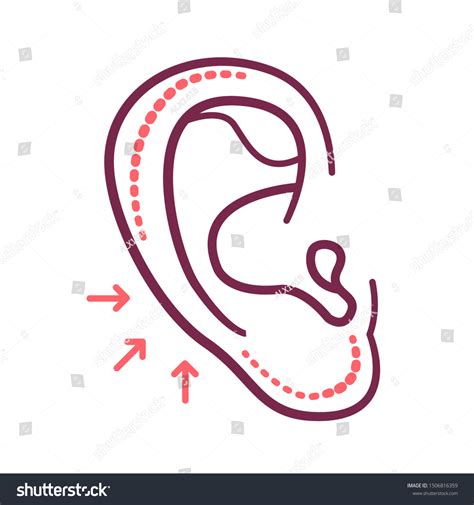 Otoplasty Color Line Icon Ear Shape Stock Vector Royalty Free