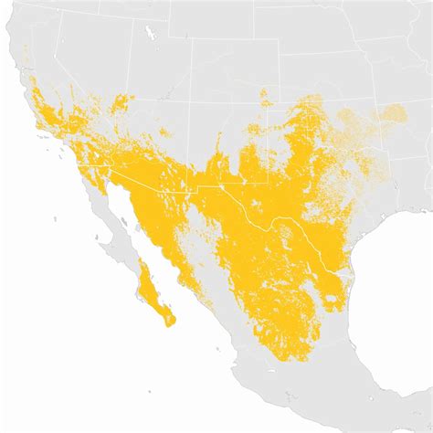 Greater Roadrunner Abundance Animation Ebird Status And Trends