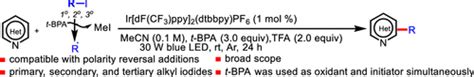 Photoredox Mediated Minisci C H Alkylation Reactions Between N