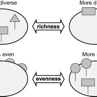 3 A simplified representation of the difference between species ...