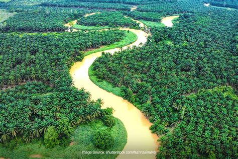 Menjelajahi 10 Sungai Terindah Di Malaysia Mau Coba Superlive